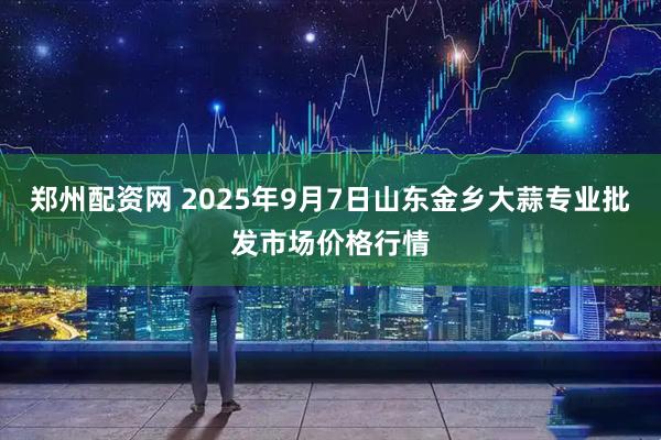 郑州配资网 2025年9月7日山东金乡大蒜专业批发市场价格行情