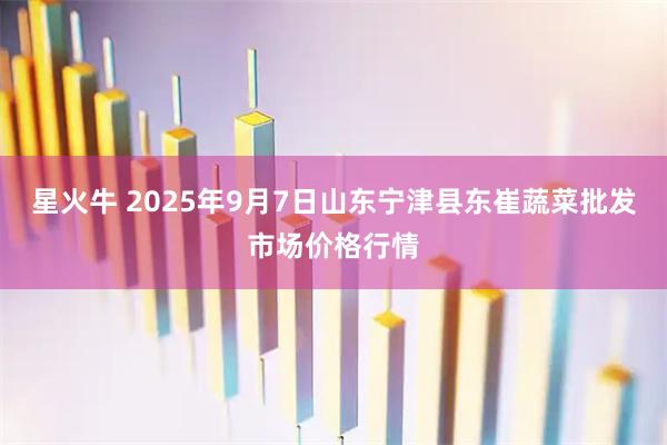 星火牛 2025年9月7日山东宁津县东崔蔬菜批发市场价格行情
