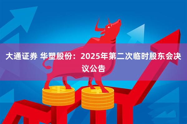 大通证券 华塑股份：2025年第二次临时股东会决议公告