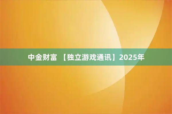 中金财富 【独立游戏通讯】2025年