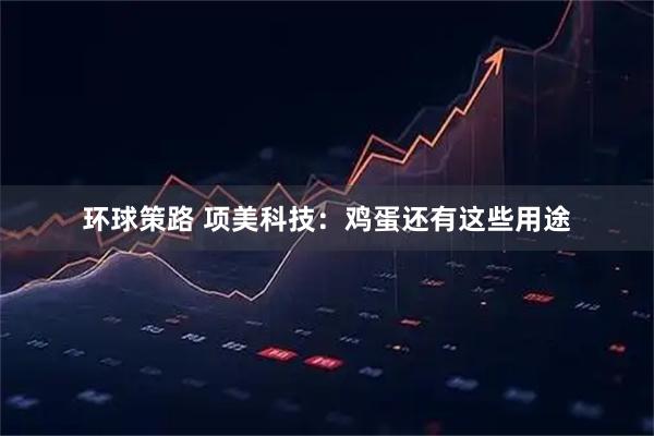 环球策路 项美科技：鸡蛋还有这些用途