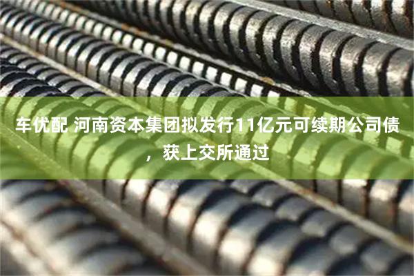车优配 河南资本集团拟发行11亿元可续期公司债，获上交所通过