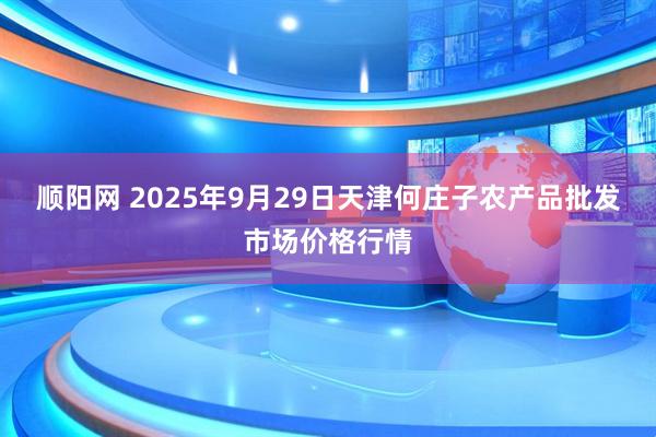 顺阳网 2025年9月29日天津何庄子农产品批发市场价格行情